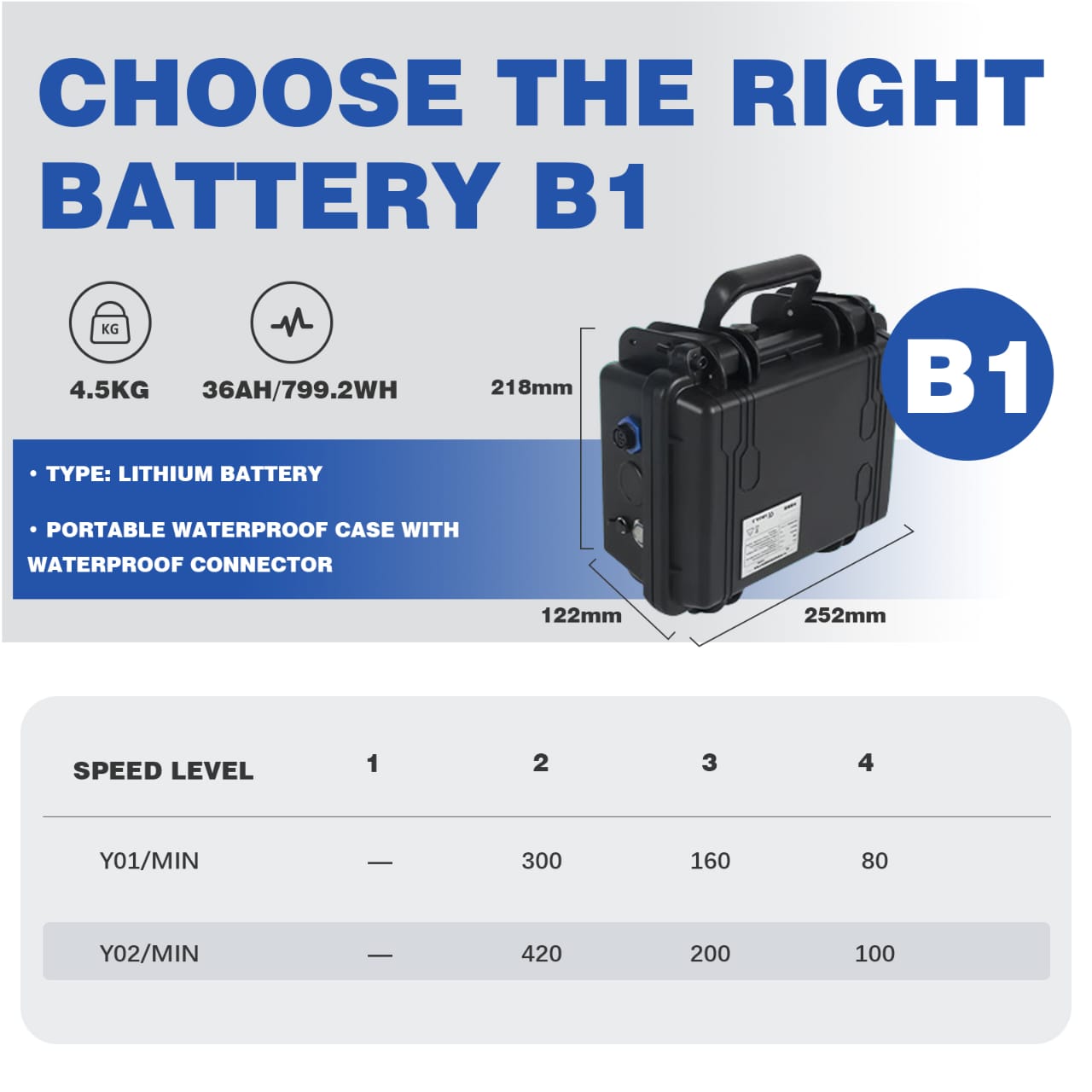 Y01 + B1 set photo 02