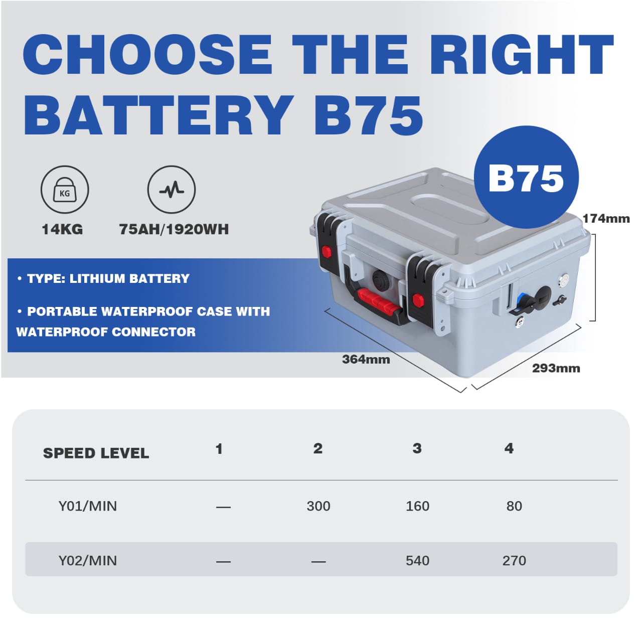 Y01 + B75 set photo 02